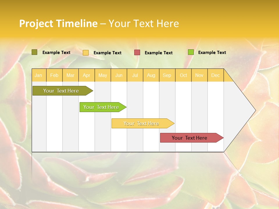 Cacti Cactus Ornamental PowerPoint Template