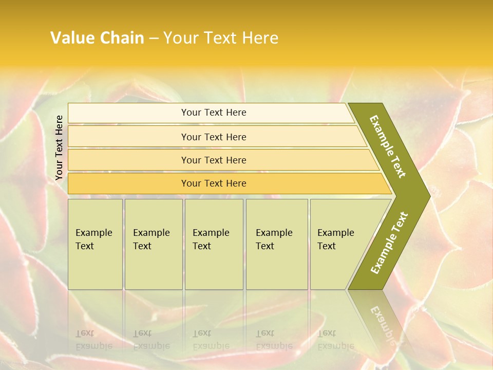Cacti Cactus Ornamental PowerPoint Template
