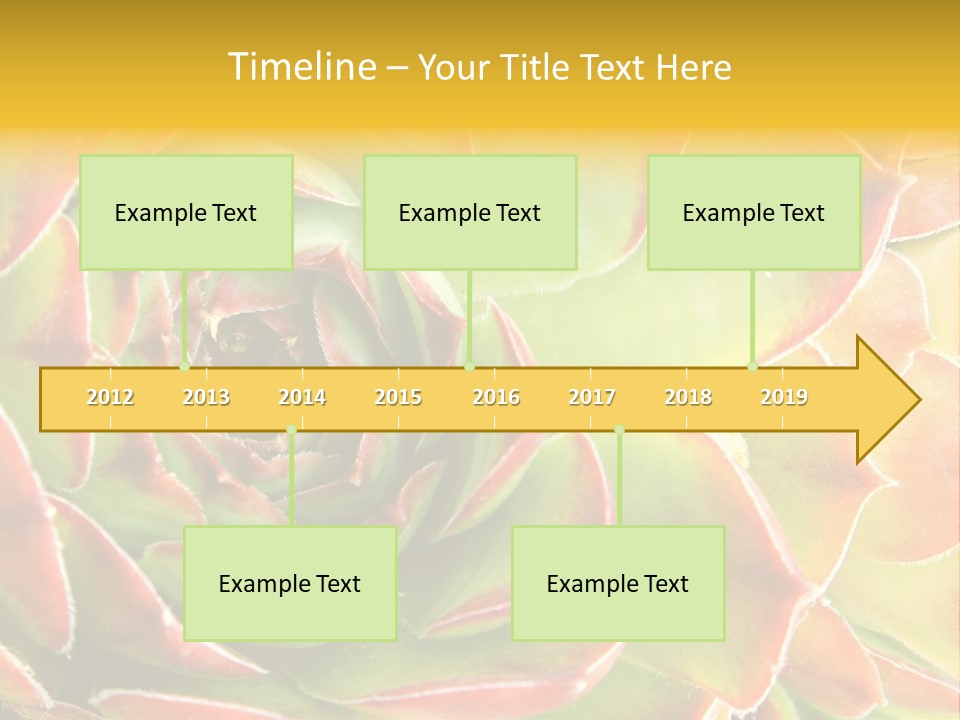 Cacti Cactus Ornamental PowerPoint Template