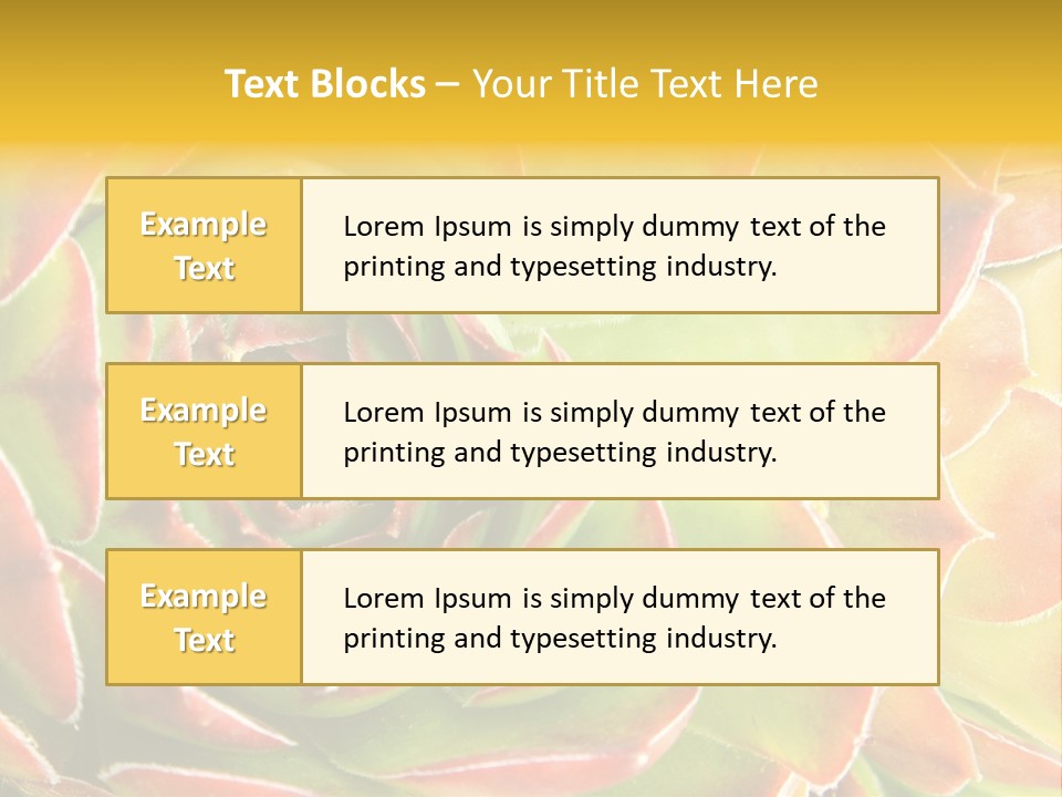 Cacti Cactus Ornamental PowerPoint Template
