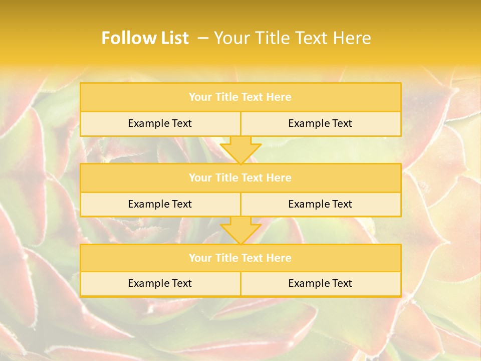 Cacti Cactus Ornamental PowerPoint Template