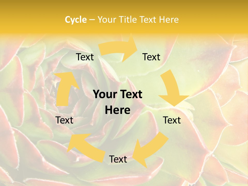 Cacti Cactus Ornamental PowerPoint Template