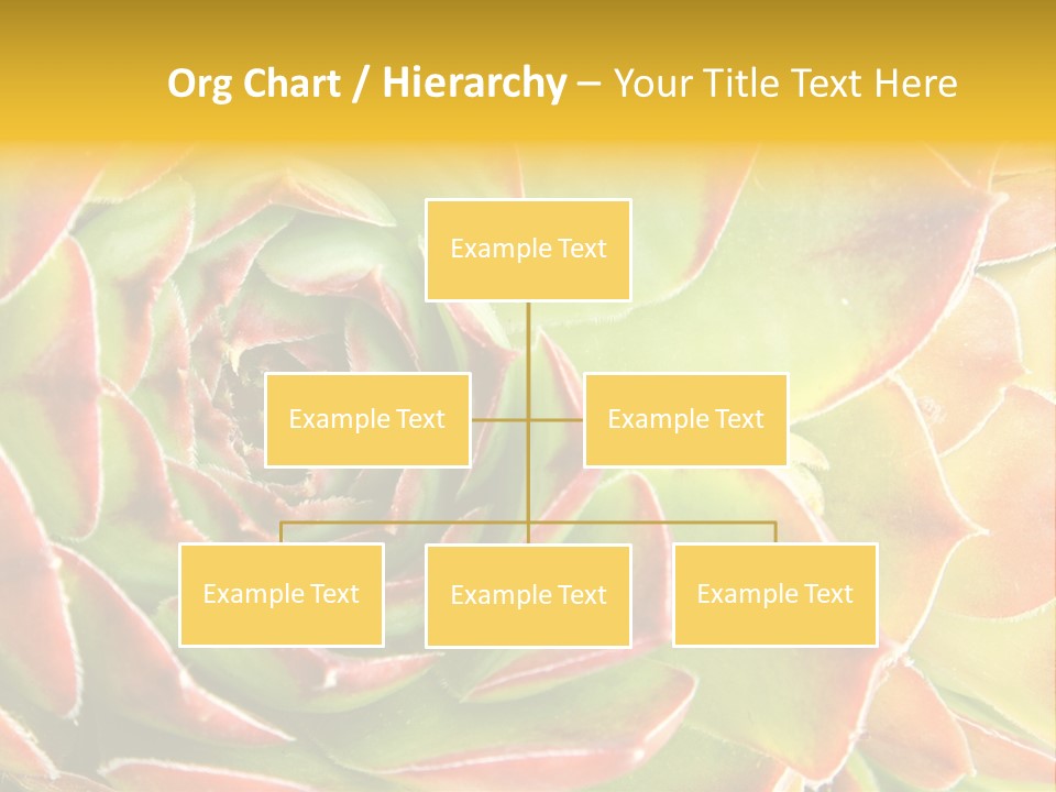 Cacti Cactus Ornamental PowerPoint Template