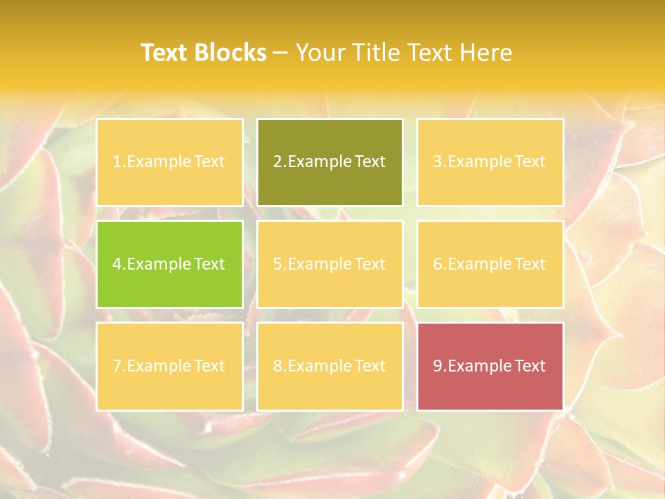 Cacti Cactus Ornamental PowerPoint Template
