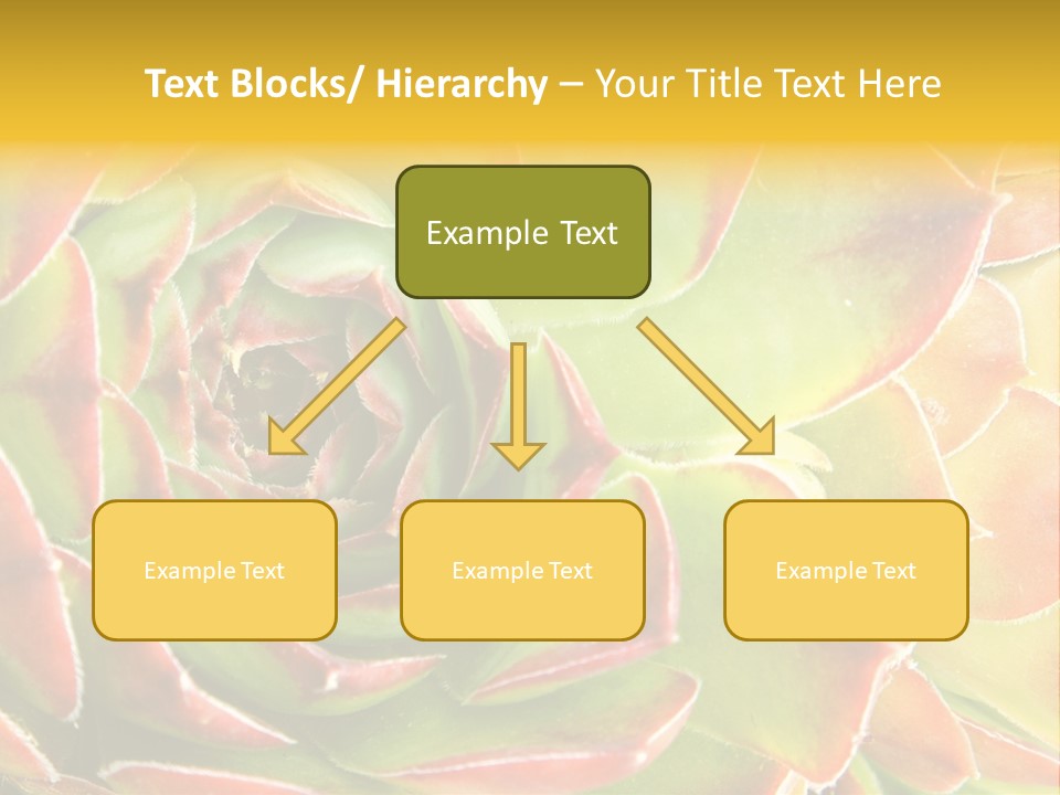 Cacti Cactus Ornamental PowerPoint Template