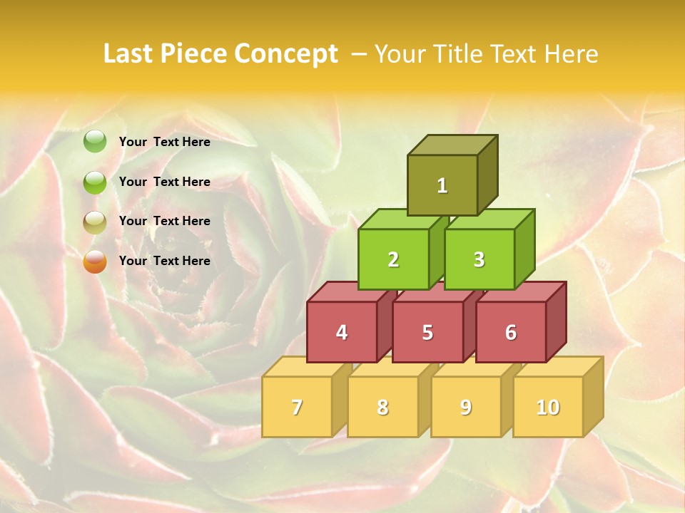 Cacti Cactus Ornamental PowerPoint Template