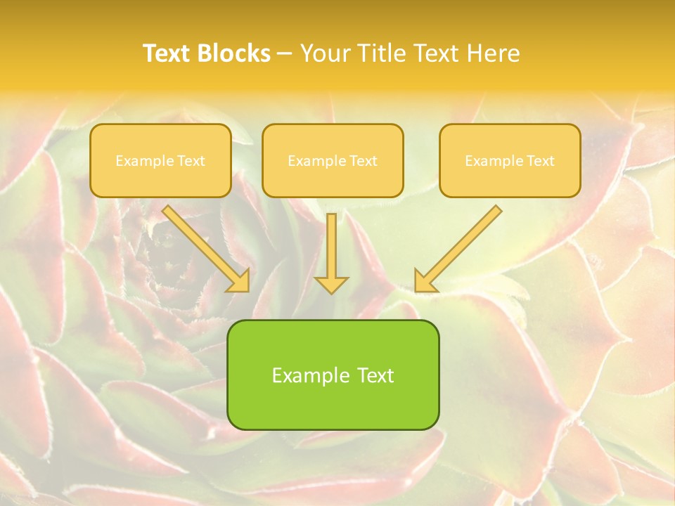 Cacti Cactus Ornamental PowerPoint Template