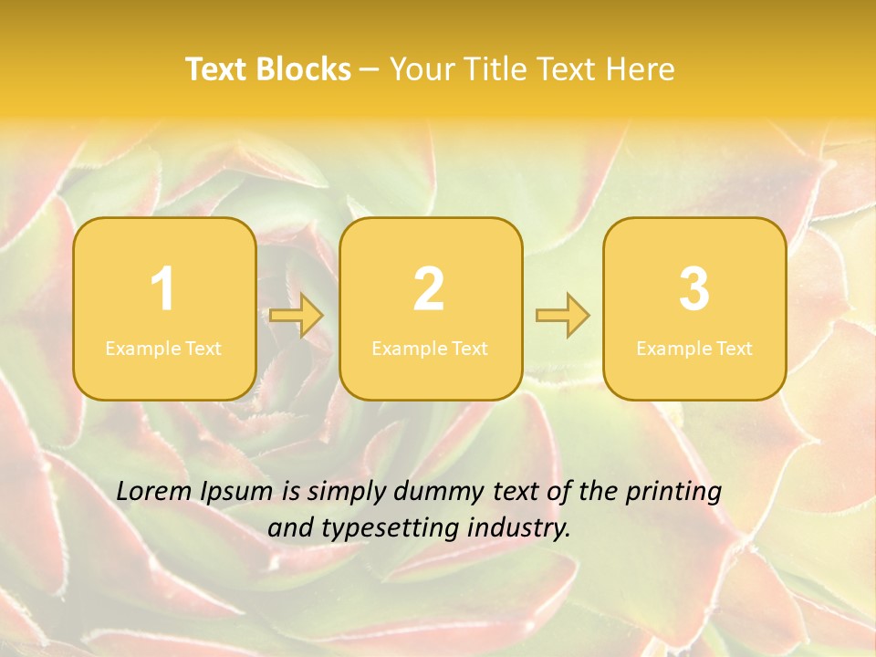 Cacti Cactus Ornamental PowerPoint Template