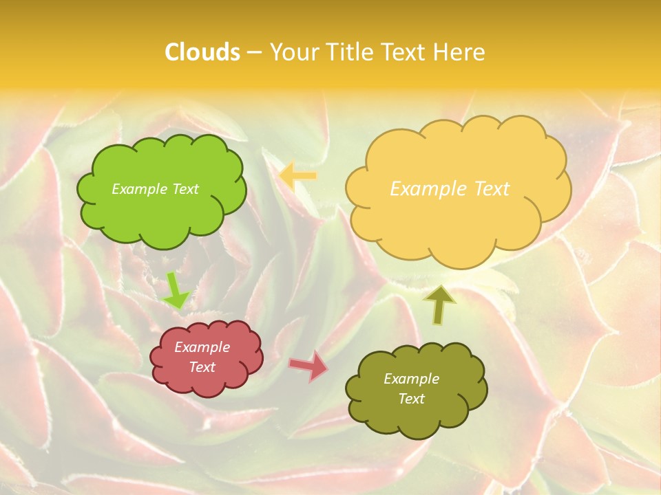 Cacti Cactus Ornamental PowerPoint Template