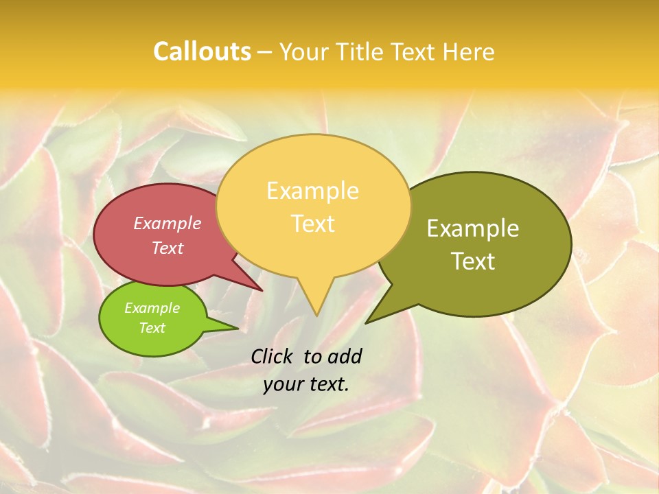 Cacti Cactus Ornamental PowerPoint Template