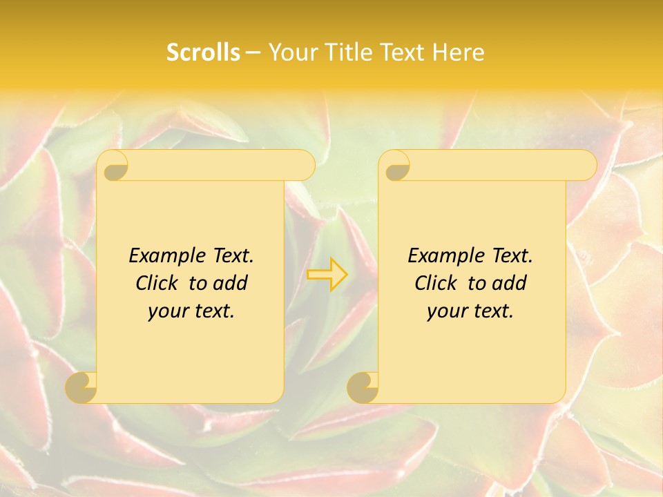 Cacti Cactus Ornamental PowerPoint Template