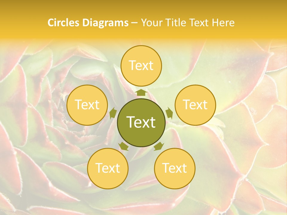 Cacti Cactus Ornamental PowerPoint Template