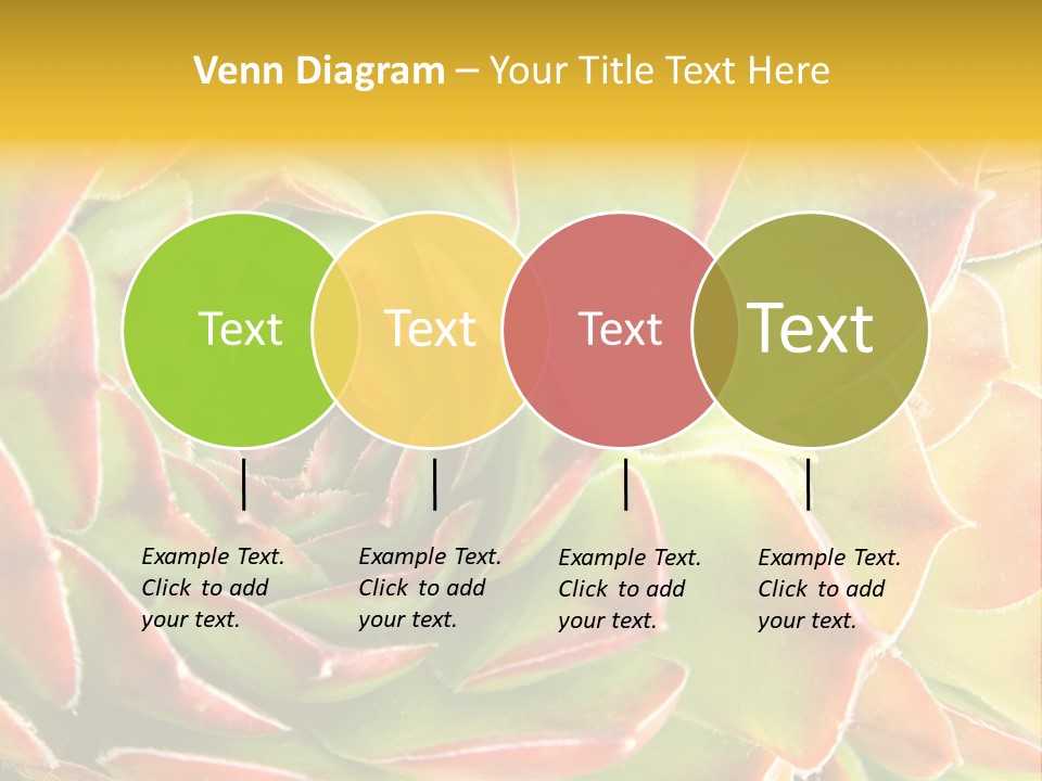 Cacti Cactus Ornamental PowerPoint Template