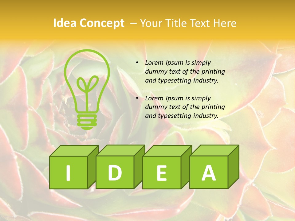 Cacti Cactus Ornamental PowerPoint Template