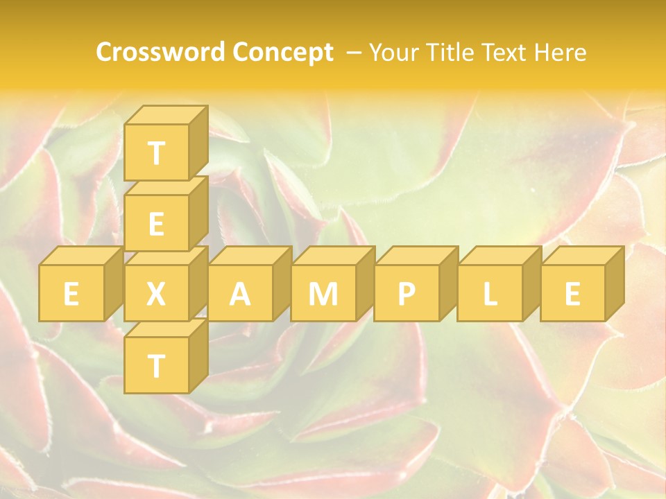 Cacti Cactus Ornamental PowerPoint Template