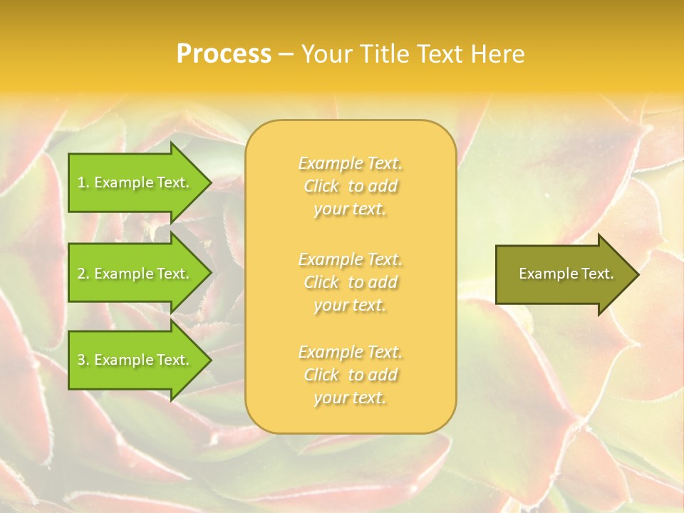 Cacti Cactus Ornamental PowerPoint Template