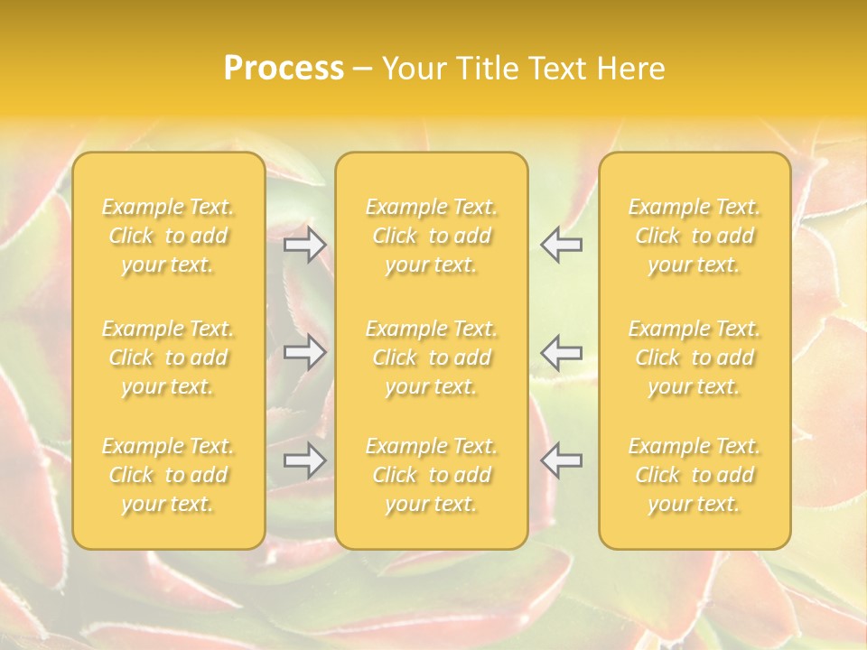 Cacti Cactus Ornamental PowerPoint Template