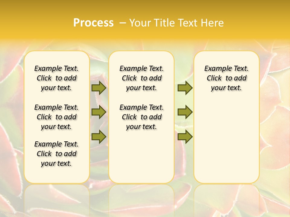 Cacti Cactus Ornamental PowerPoint Template