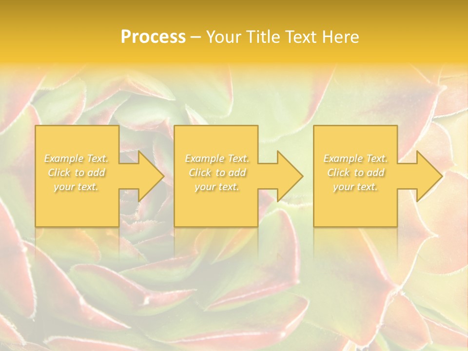 Cacti Cactus Ornamental PowerPoint Template
