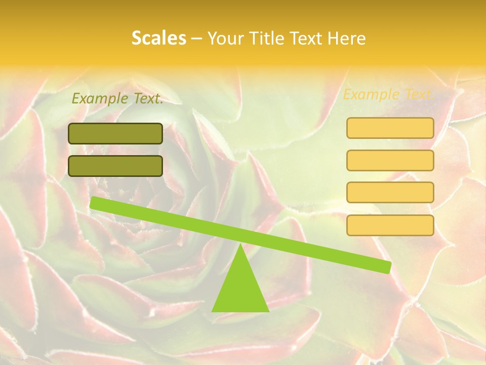 Cacti Cactus Ornamental PowerPoint Template