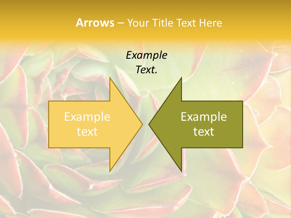 Cacti Cactus Ornamental PowerPoint Template