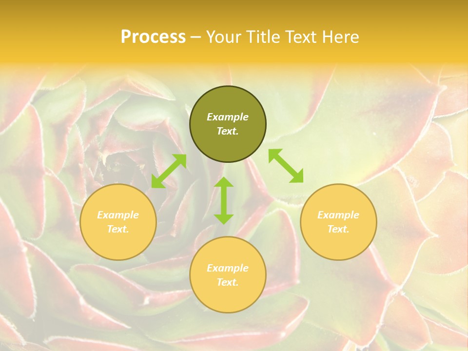 Cacti Cactus Ornamental PowerPoint Template