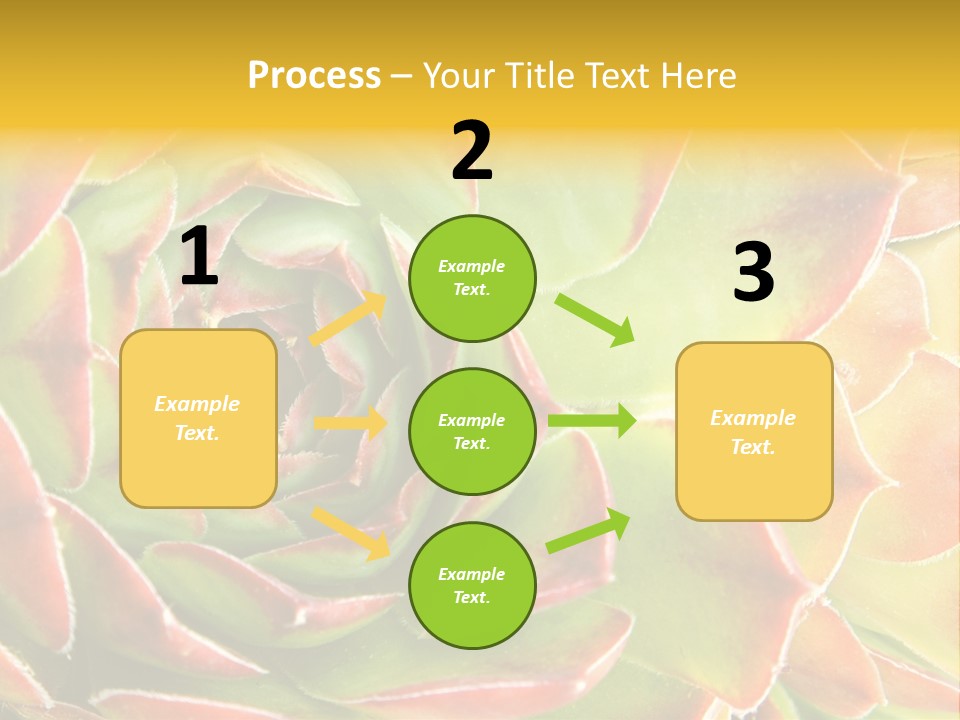 Cacti Cactus Ornamental PowerPoint Template
