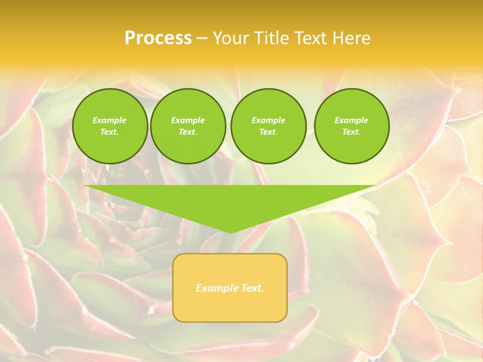 Cacti Cactus Ornamental PowerPoint Template