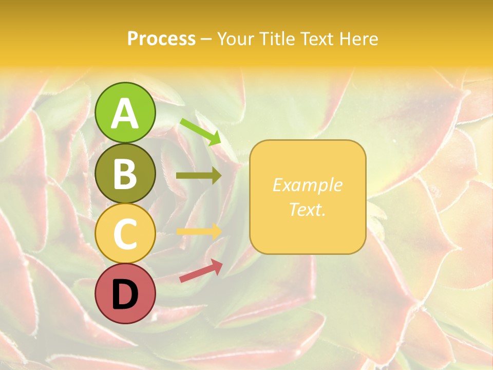 Cacti Cactus Ornamental PowerPoint Template