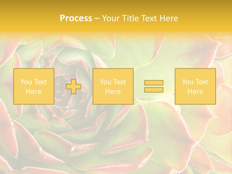 Cacti Cactus Ornamental PowerPoint Template