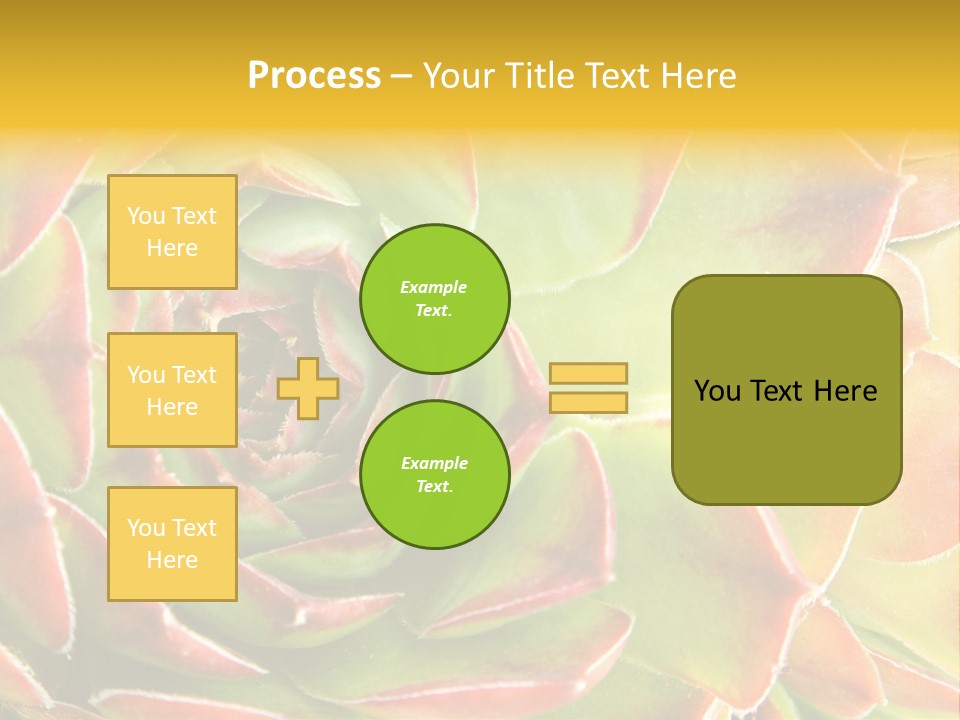 Cacti Cactus Ornamental PowerPoint Template