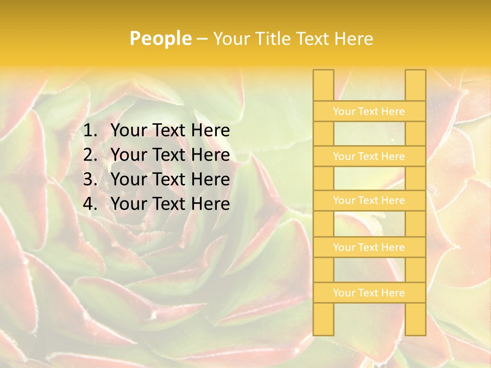 Cacti Cactus Ornamental PowerPoint Template