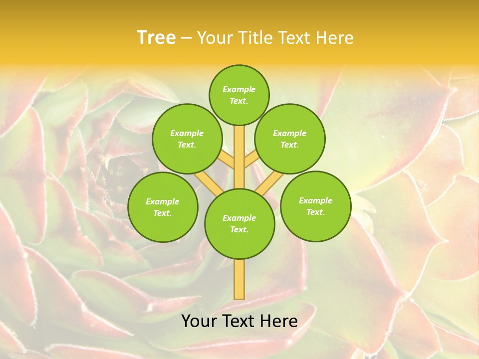 Cacti Cactus Ornamental PowerPoint Template