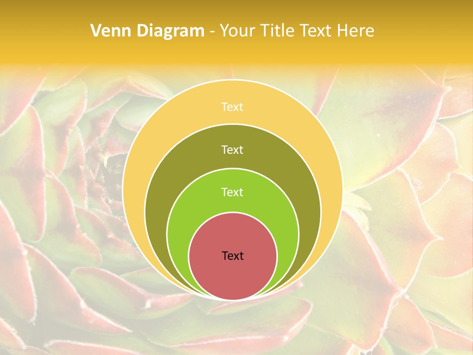Cacti Cactus Ornamental PowerPoint Template