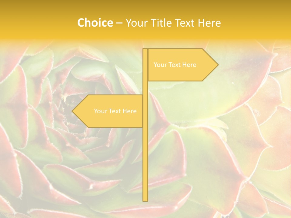 Cacti Cactus Ornamental PowerPoint Template