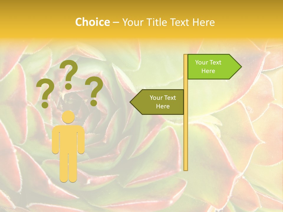 Cacti Cactus Ornamental PowerPoint Template