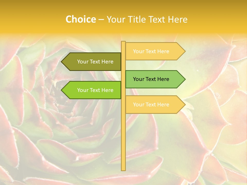 Cacti Cactus Ornamental PowerPoint Template