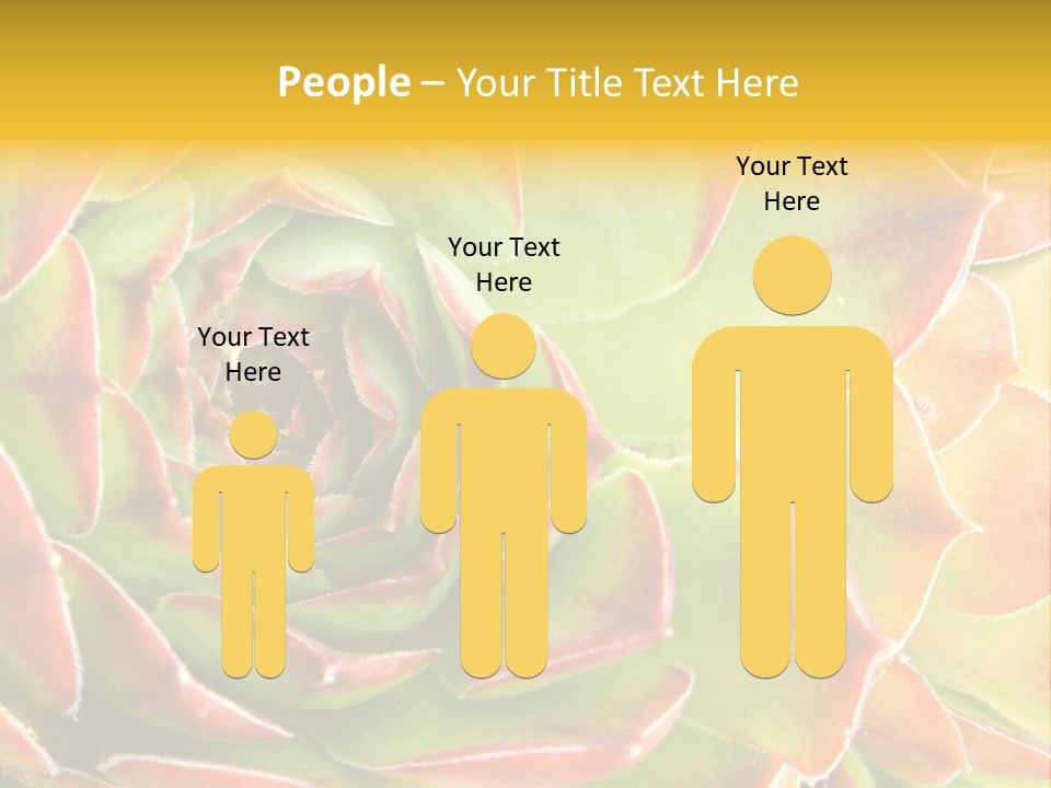 Cacti Cactus Ornamental PowerPoint Template