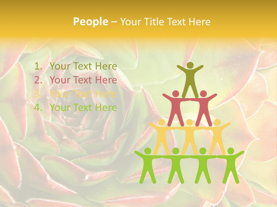 Cacti Cactus Ornamental PowerPoint Template