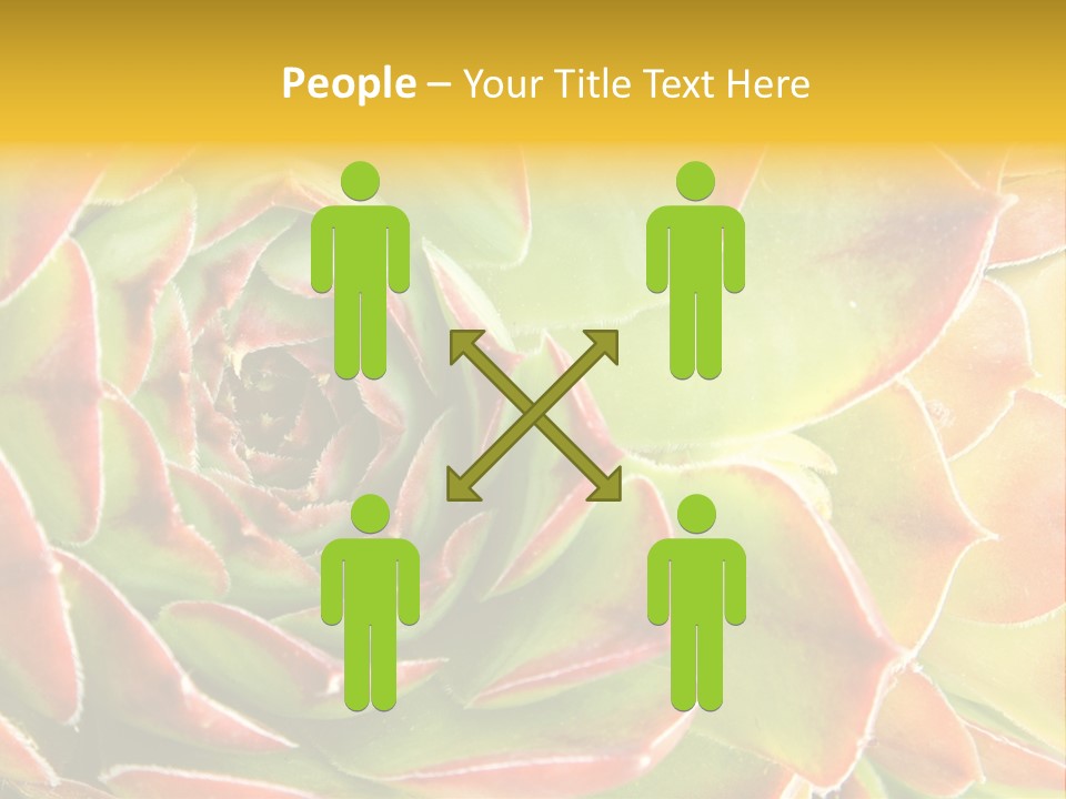 Cacti Cactus Ornamental PowerPoint Template