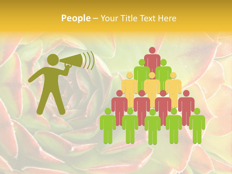 Cacti Cactus Ornamental PowerPoint Template