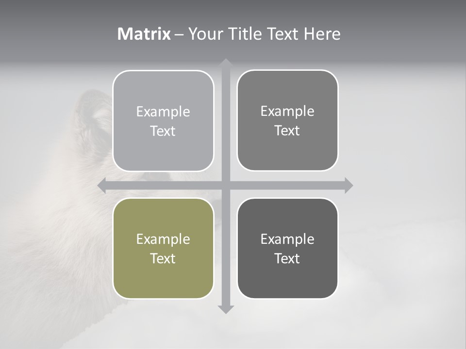 Artic Wildlife Horizontal Survival PowerPoint Template