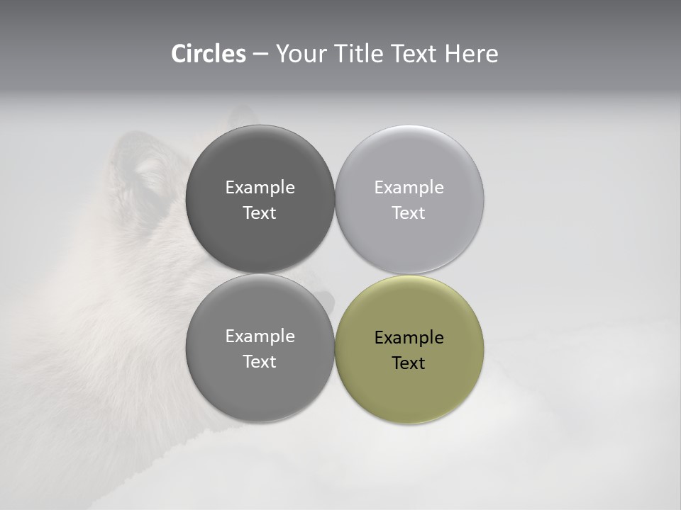 Artic Wildlife Horizontal Survival PowerPoint Template