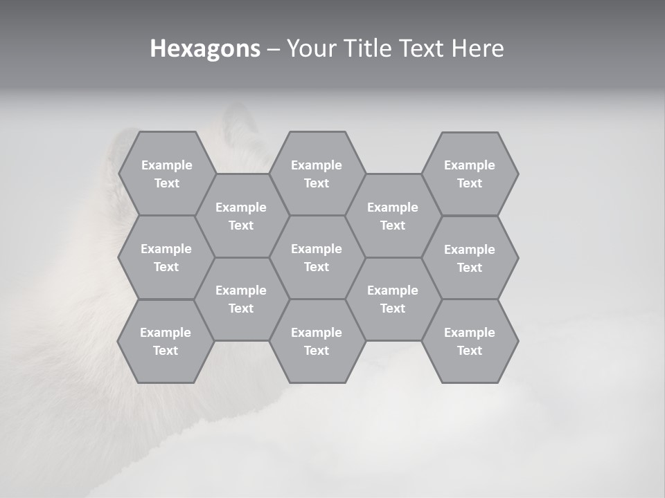 Artic Wildlife Horizontal Survival PowerPoint Template
