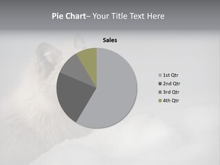 Artic Wildlife Horizontal Survival PowerPoint Template