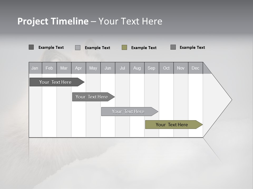 Artic Wildlife Horizontal Survival PowerPoint Template
