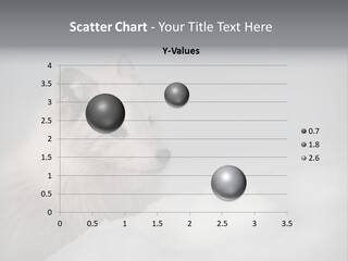 Artic Wildlife Horizontal Survival PowerPoint Template