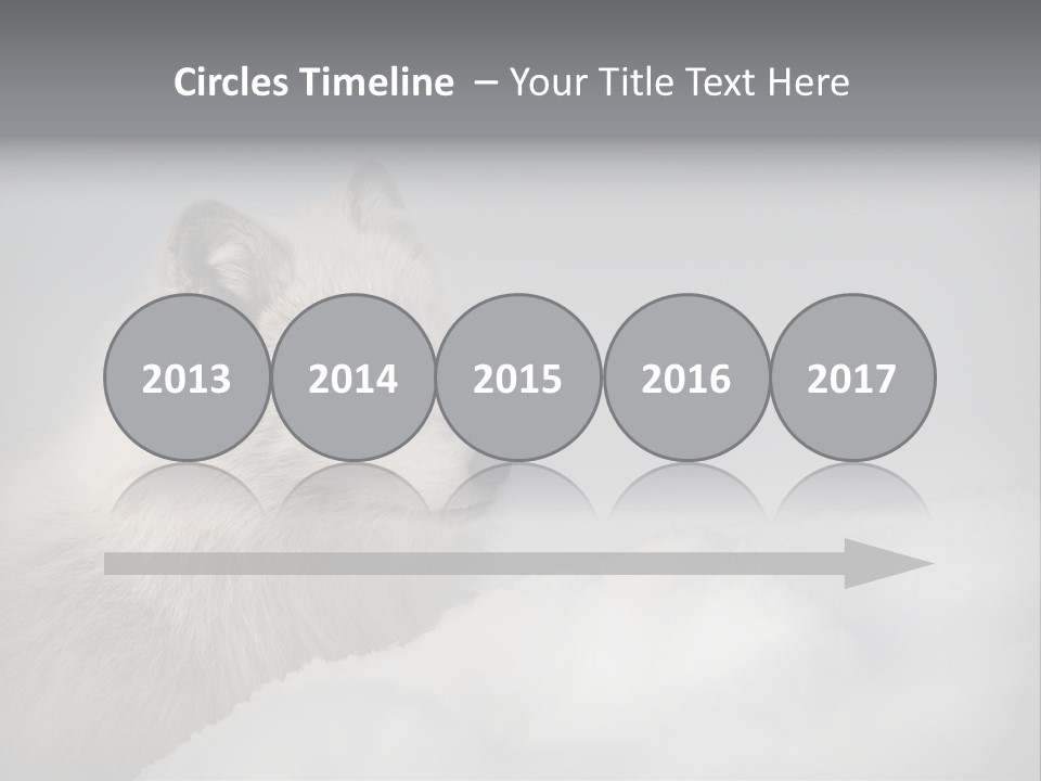 Artic Wildlife Horizontal Survival PowerPoint Template