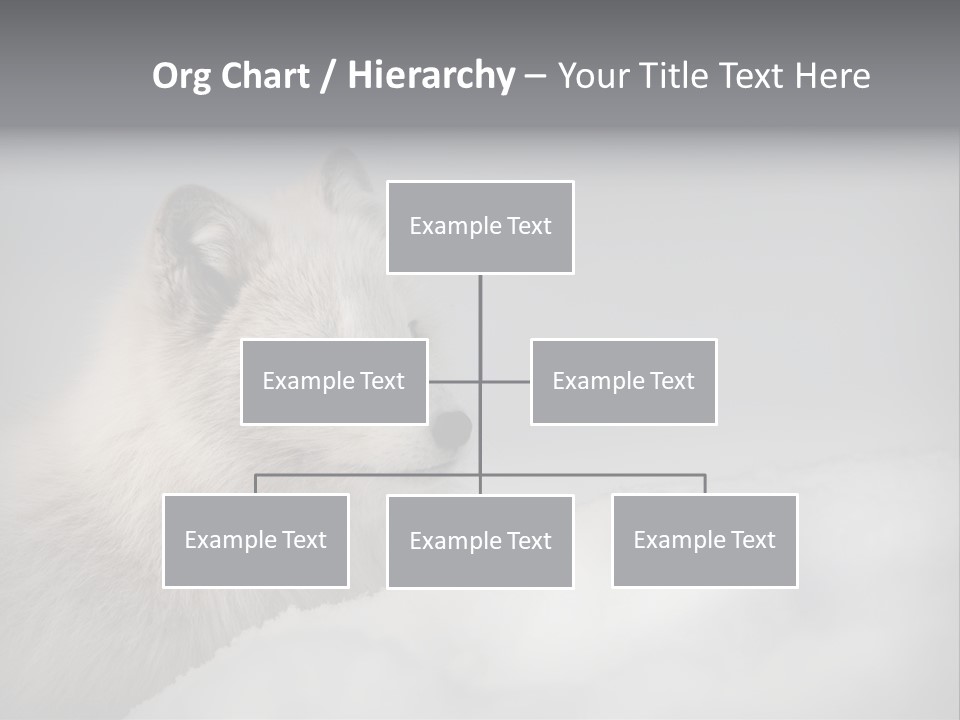 Artic Wildlife Horizontal Survival PowerPoint Template