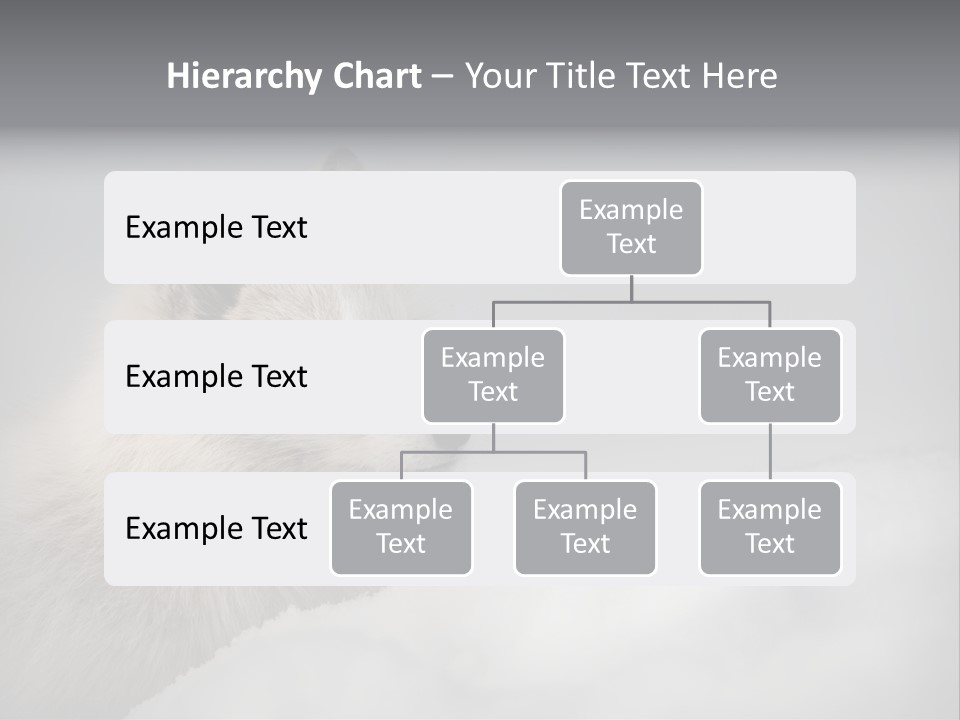 Artic Wildlife Horizontal Survival PowerPoint Template